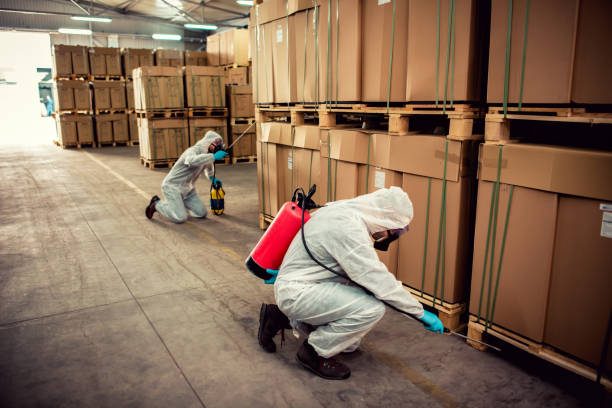 Best Pest Inspection Near Me  in Salisbury, MD