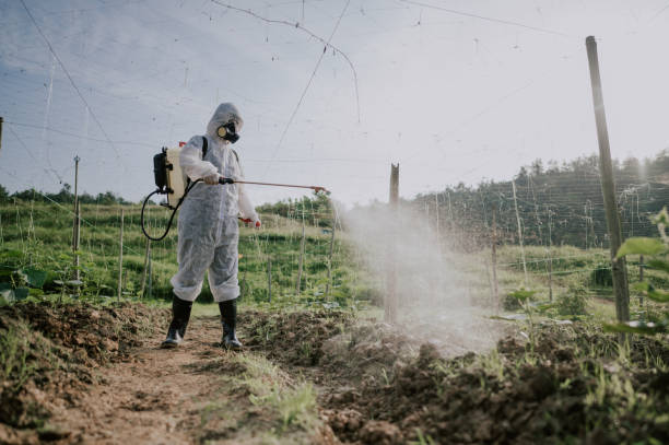 Best Mosquito Control Services  in Salisbury, MD