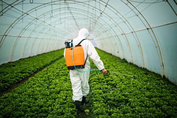 Best Pest Removal Services  in Salisbury, MD